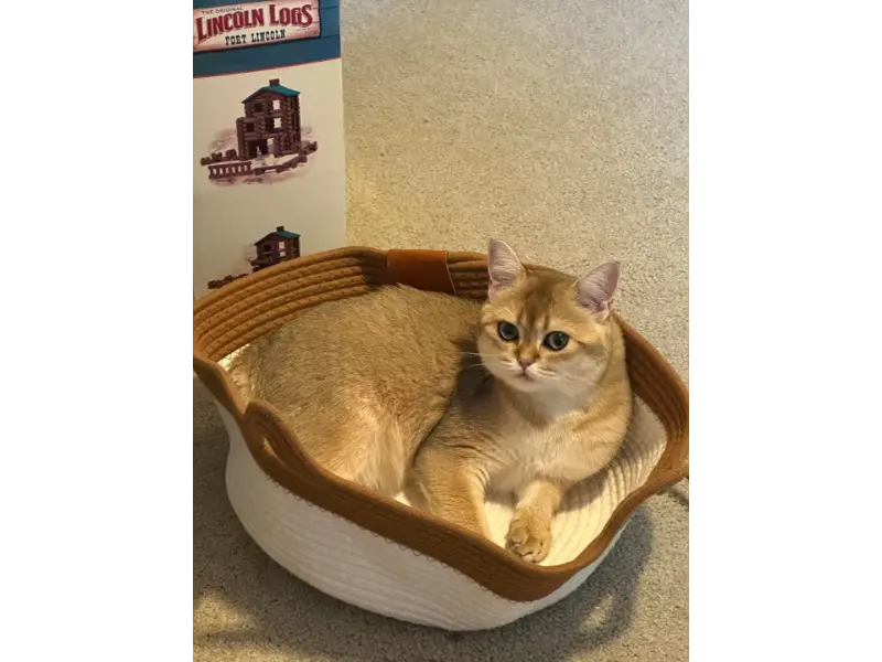 Sandra L.